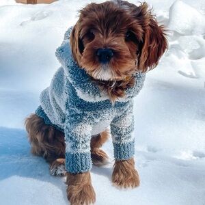 COZY EARTH FUZZY DOG SWEATER – BLUE & WHITE | SMALL / MEDIUM